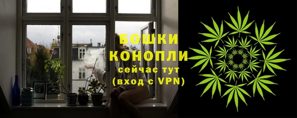 ECSTASY Горнозаводск