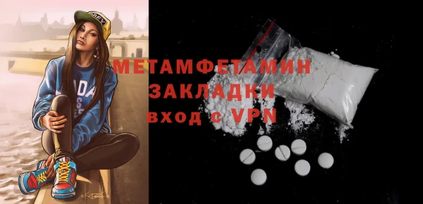 шишки Горняк