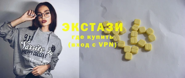 шишки Горняк