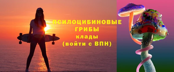 шишки Горняк