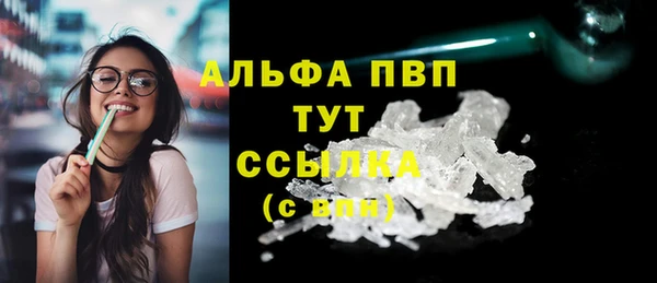 шишки Горняк