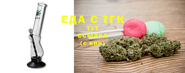 шишки Горняк
