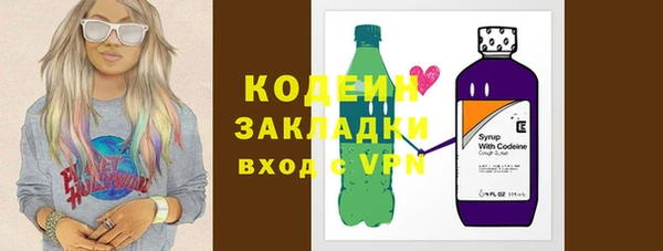 шишки Горняк