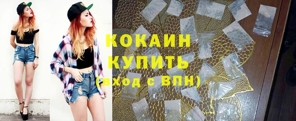 шишки Горняк
