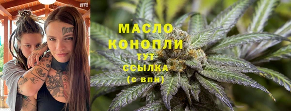шишки Горняк