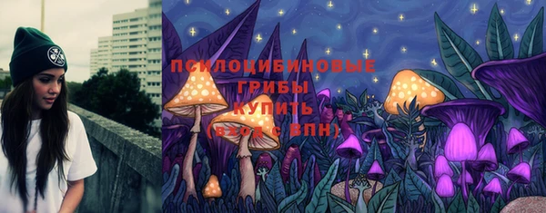 шишки Горняк