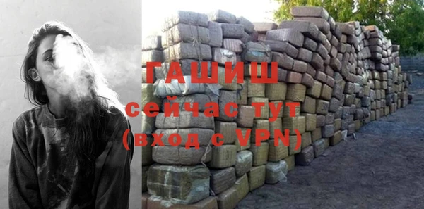 шишки Горняк