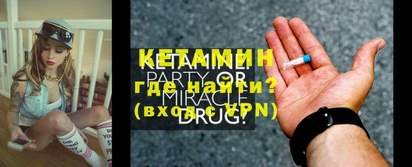 шишки Горняк