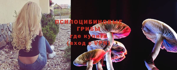 ECSTASY Горнозаводск