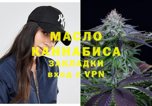 шишки Горняк