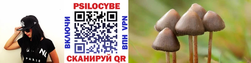 как найти Благовещенск Псилоцибиновые грибы GOLDEN TEACHER